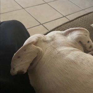 Meet your Posher, Jenn